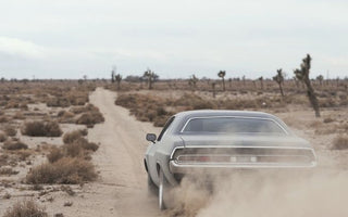 All Time Top Road Trip Destinations