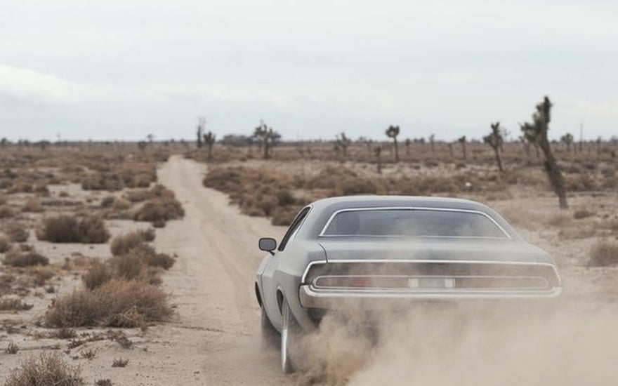 All Time Top Road Trip Destinations